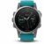 Garmin fenix 5S