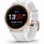 Garmin Fenix 6S Pro